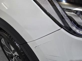 Kia e-Niro ExecutiveLine 64 kWh picture 12