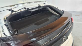 Citroën E-C4 Shine 50 kWh picture 10