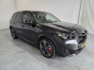  BMW iX eDrive20 67 kWh 2024/9