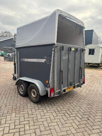 -  Titan Jelsum paardentrailer picture 4