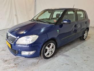 Schadeauto Skoda Fabia 1.2 TDI Greenline 2011/10