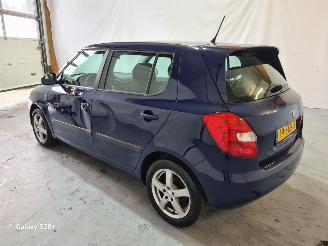 Skoda Fabia 1.2 TDI Greenline picture 13