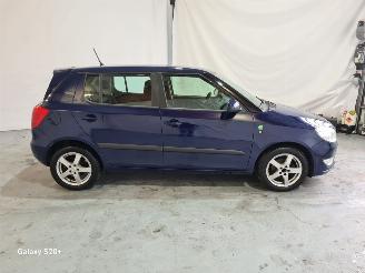 Skoda Fabia 1.2 TDI Greenline picture 4