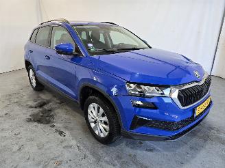 škoda osobní automobily Skoda Karoq 1.0 TSI Business Ed. 2023/5