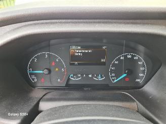Ford Transit 330 2.0 TDCI L3H2 Trend MHEV picture 27