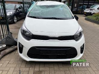 Kia Picanto Picanto (JA), Hatchback, 2017 1.0 DPI 12V picture 2