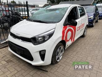 Purkuautot passenger cars Kia Picanto Picanto (JA), Hatchback, 2017 1.0 DPI 12V 2024/6