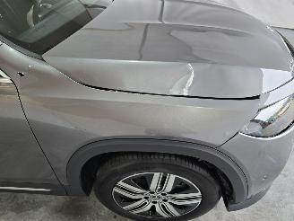 Mercedes EQB 250+ Luxury Line picture 9