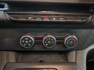 Renault Kangoo VAN picture 31