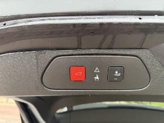 Opel Grandland X 1.2 Turbo Business Executive picture 10