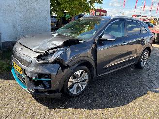 Auto incidentate Kia e-Niro Clima/leer/pdc/navi 2020/1