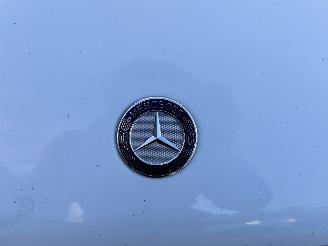 Mercedes Vito 113 CDI Lang Sortimo AHK 3-Sitzer picture 45