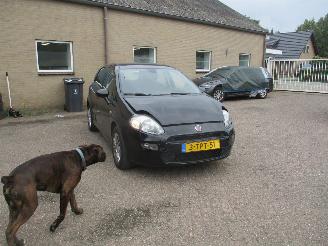 Auto incidentate Fiat Punto Evo 0.9 TwinAir Street NAP 2014/4