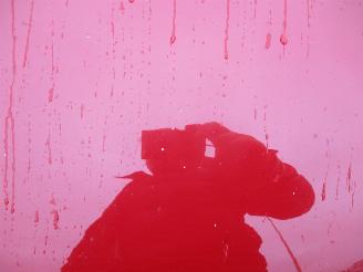 Fiat 500 1.2 Lounge picture 17