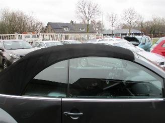 Volkswagen New-beetle 1.4-16V Trendline picture 31