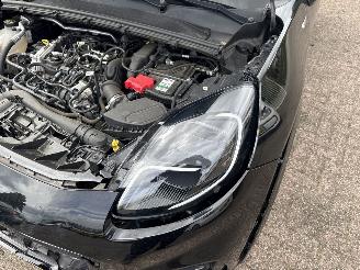 Ford Puma 1.0 EcoBoost  Hybrid ST-Line X picture 12