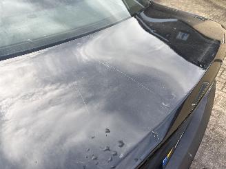 BMW 5-serie 525i Executive picture 17
