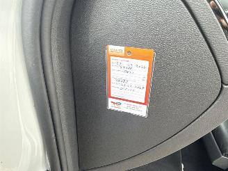 Volkswagen Passat 1.4 TSI GTE REST BPM €300,-!!! picture 34