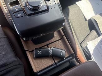 Mazda MX-30 e-SkyActiv 145 First Edition 36kWh picture 22