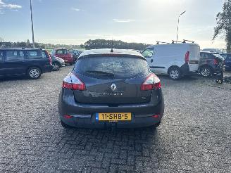 Renault Mégane 1.4 TCe Parisienne picture 6