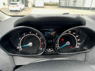 Ford Fiesta 1.0 EcoBoost Titanium picture 10