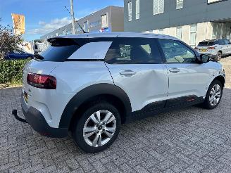 Citroën C4 cactus 1.2 PureTech Shine picture 7