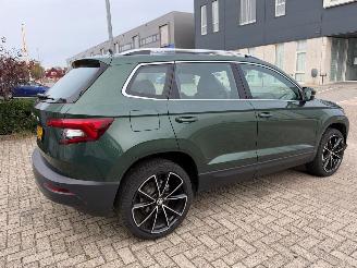 Skoda Karoq 1.0 TSI Business Edition Plus picture 6