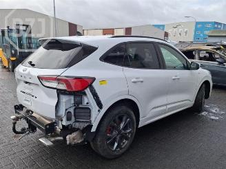 Ford Kuga  picture 3