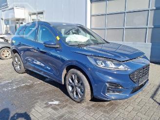 Ford Kuga Kuga III (DFK), SUV, 2019 2.5 PHEV 16V picture 2