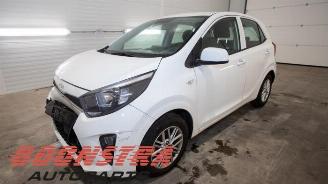 demontáž osobní automobily Kia Picanto Picanto (JA), Hatchback, 2017 1.0 DPi 12V 2023/6