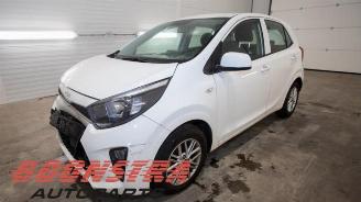 Autoverwertung Kia Picanto Picanto (JA), Hatchback, 2017 1.0 DPi 12V 2023/6