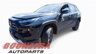 demontáž osobní automobily Toyota Rav-4 RAV4 (A5), Terreinwagen, 2018 2.5 Hybrid 16V AWD 2023/3