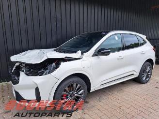Ford Kuga Kuga III (DFK), SUV, 2019 2.5 PHEV 16V picture 1