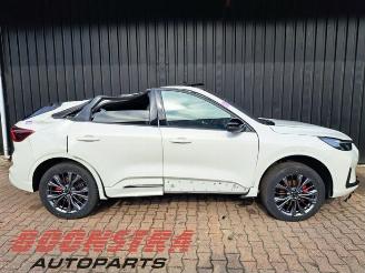 Ford Kuga Kuga III (DFK), SUV, 2019 2.5 PHEV 16V picture 3