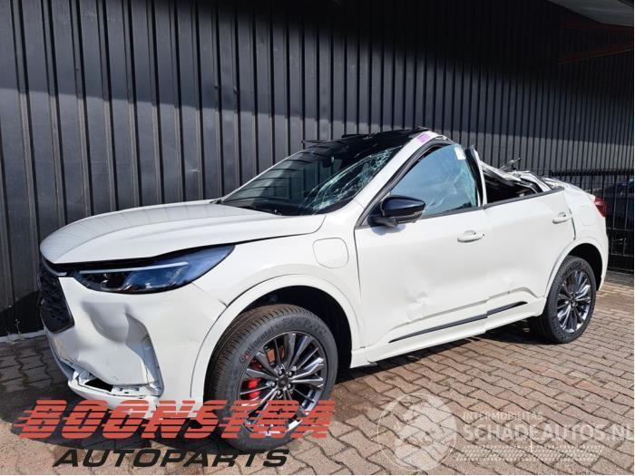 Ford Kuga Kuga III (DFK), SUV, 2019 2.5 PHEV 16V