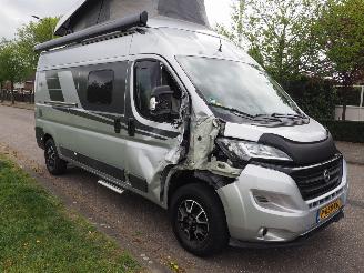 Laika  Kosmo 6.0 picture 4