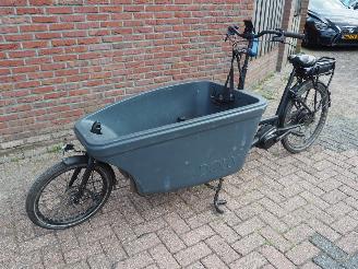Overige  Dolly Bakfiets Family picture 2