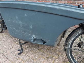 Overige  Dolly Bakfiets Family picture 10