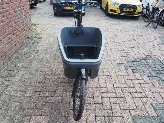Overige  Dolly Bakfiets Family picture 3
