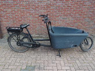 Overige  Dolly Bakfiets Family picture 6
