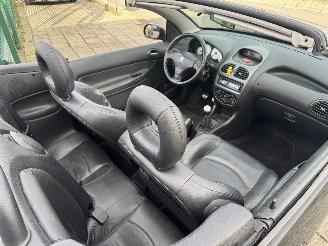Peugeot 206 2.0 16V cabriolet picture 6