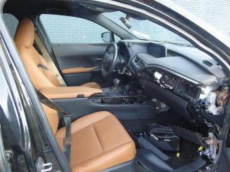 Lexus UX UX, SUV, 2019 250h 2.0 16V picture 6