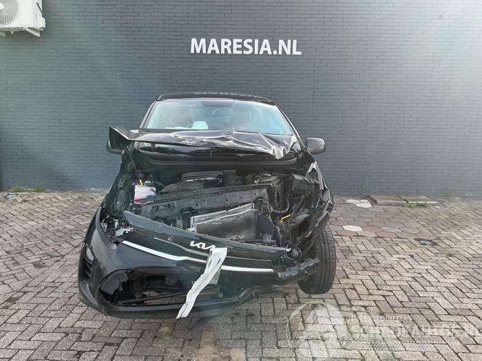 Kia Picanto Picanto (JA), Hatchback, 2017 1.0 DPI 12V