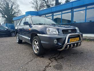 Unfallwagen Hyundai Santa Fe 2.0i-16V Dyn. Motion 2004/10