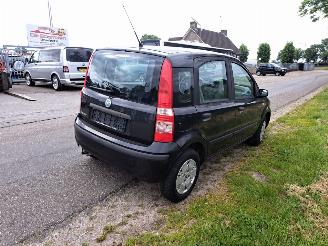 Fiat Panda  picture 3