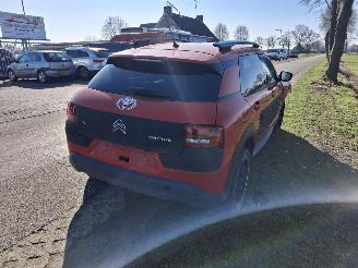 Citroën C4 cactus  picture 6