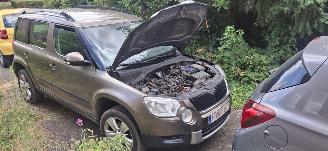 Skoda Yeti 2.0 tdi picture 2