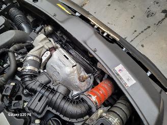 Peugeot 208 GTI 1.6 e-THP 153-KW 6-Bak 3drs MATT picture 11