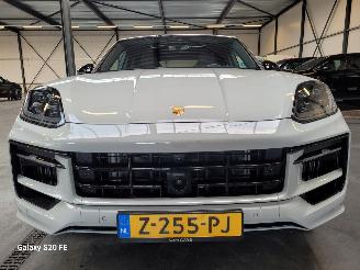 Porsche Cayenne Coupe 3.0 S e-Hybrid 346-KW Automaat picture 18