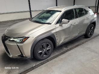 Voiture accidenté Lexus UX 250h Hybrid 2.0 112-KW Automaat Luxury 2021/2